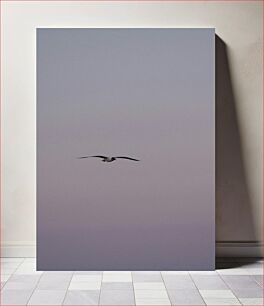 Πίνακας, Soaring Seagull at Dusk Ο Γλάρος στα ύψη στο σούρουπο