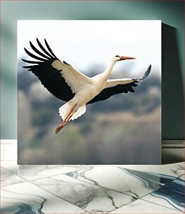 Πίνακας, Soaring Stork Πελαργός στα ύψη