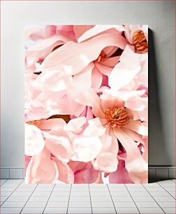 Πίνακας, Soft Pink Blossoms Soft Pink Blossoms
