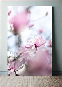 Πίνακας, Soft Pink Blossoms Soft Pink Blossoms