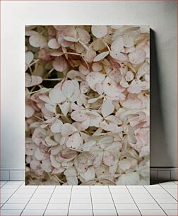 Πίνακας, Soft Pink Hydrangeas Απαλές ροζ ορτανσίες