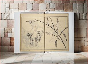 Πίνακας, Soken Picture Album: The Plant Section