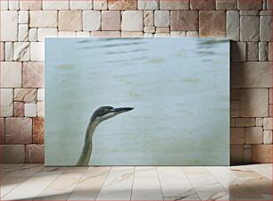Πίνακας, Solitary Bird by the Water Solitary Bird by the Water