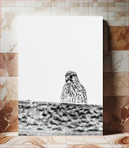 Πίνακας, Solitary Bird in Black and White Μοναχικό πουλί σε ασπρόμαυρο