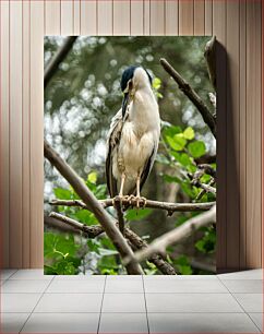 Πίνακας, Solitary Bird Μοναχικό Πουλί