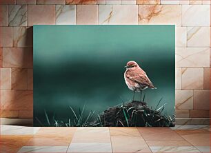 Πίνακας, Solitary Bird on a Mound Μοναχικό πουλί σε ένα ανάχωμα