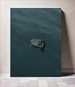 Πίνακας, Solitary Bird on Calm Water Μοναχικό πουλί σε ήρεμο νερό