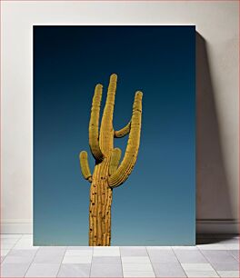 Πίνακας, Solitary Cactus Under Clear Sky Μοναχικός Κάκτος κάτω από τον καθαρό ουρανό
