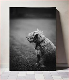 Πίνακας, Solitary Dog Μοναχικός σκύλος