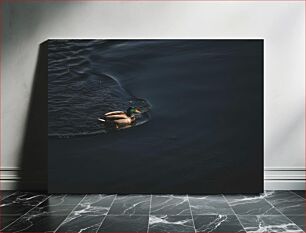 Πίνακας, Solitary Duck on Dark Waters Μοναχική πάπια στα σκοτεινά νερά