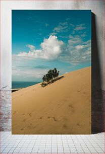 Πίνακας, Solitary Dune Μοναχικός αμμόλοφος