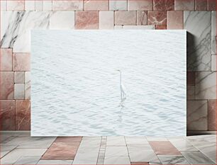 Πίνακας, Solitary Egret in Calm Waters Μοναχικός τσικνιάς σε ήρεμα νερά