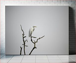 Πίνακας, Solitary Egret on a Branch Μοναχικός τσικνιάς σε ένα κλαδί