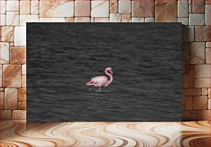 Πίνακας, Solitary Flamingo Μοναχικό Φλαμίνγκο