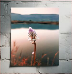 Πίνακας, Solitary Flower by the Lake Μοναχικό λουλούδι δίπλα στη λίμνη