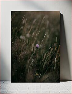 Πίνακας, Solitary Flower in Field Μοναχικό λουλούδι στο χωράφι
