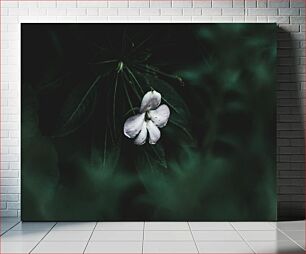 Πίνακας, Solitary Flower in the Dark Μοναχικό λουλούδι στο σκοτάδι