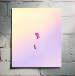Πίνακας, Solitary Flower on Pastel Background Μοναχικό λουλούδι σε παστέλ φόντο