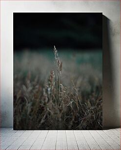 Πίνακας, Solitary Grass at Dusk Μοναχικό γρασίδι στο σούρουπο