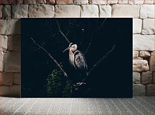 Πίνακας, Solitary Heron in the Dark Μοναχικός ερωδιός στο σκοτάδι