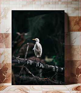 Πίνακας, Solitary Heron on a Branch Μοναχικός ερωδιός σε ένα κλαδί