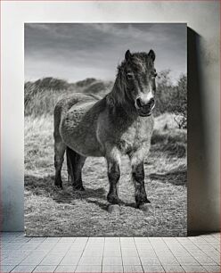 Πίνακας, Solitary Horse Μοναχικό άλογο