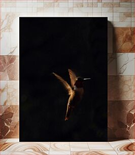 Πίνακας, Solitary Hummingbird in Flight Μοναχικό κολίβριο σε πτήση
