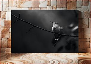 Πίνακας, Solitary Hummingbird Μοναχικό Κολίμπρι