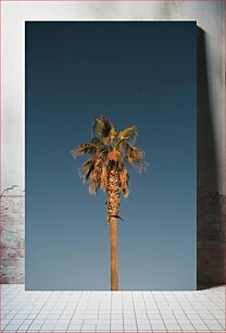 Πίνακας, Solitary Palm Tree Μοναχικός Φοίνικας