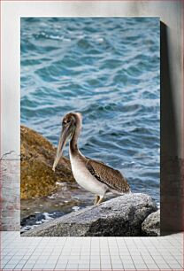Πίνακας, Solitary Pelican by the Sea Μοναχικός πελεκάνος δίπλα στη θάλασσα