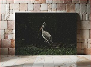 Πίνακας, Solitary Pelican in the Rain Μοναχικός πελεκάνος στη βροχή