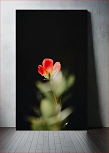 Πίνακας, Solitary Red Flower Μοναχικό κόκκινο λουλούδι