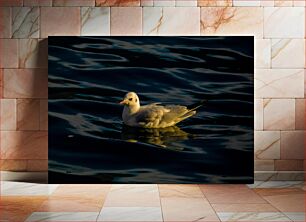 Πίνακας, Solitary Seagull on Dark Waters Μοναχικός Γλάρος στα σκοτεινά νερά