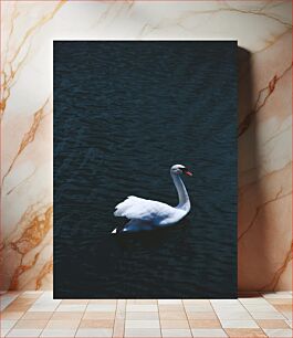 Πίνακας, Solitary Swan on Dark Waters Μοναχικός Κύκνος στα σκοτεινά νερά