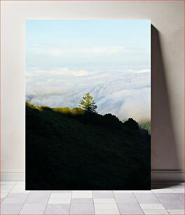 Πίνακας, Solitary Tree Above the Clouds Μοναχικό δέντρο πάνω από τα σύννεφα