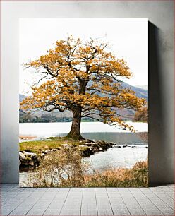 Πίνακας, Solitary Tree by the Lake Μοναχικό Δέντρο δίπλα στη Λίμνη