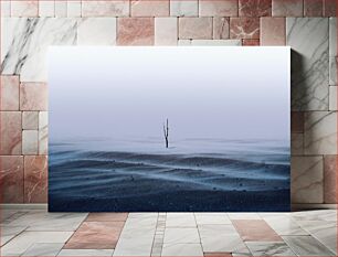 Πίνακας, Solitary Tree in a Foggy Desert Μοναχικό δέντρο σε μια ομιχλώδη έρημο