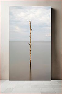 Πίνακας, Solitary Tree in Calm Sea Μοναχικό Δέντρο σε Ήρεμη Θάλασσα