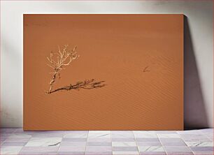 Πίνακας, Solitary Tree in Desert Μοναχικό Δέντρο στην Έρημο