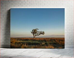 Πίνακας, Solitary Tree in Open Field Μοναχικό δέντρο σε ανοιχτό πεδίο