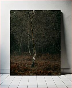 Πίνακας, Solitary Tree in the Forest Μοναχικό Δέντρο στο Δάσος