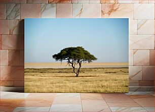 Πίνακας, Solitary Tree in Vast Landscape Μοναχικό δέντρο σε απέραντο τοπίο