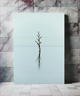 Πίνακας, Solitary Tree in Water Μοναχικό δέντρο στο νερό