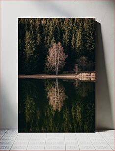 Πίνακας, Solitary Tree Reflection by the Lake Μοναχική Αντανάκλαση Δέντρου δίπλα στη Λίμνη