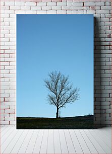 Πίνακας, Solitary Tree Under Clear Sky Μοναχικό δέντρο κάτω από τον καθαρό ουρανό