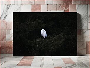 Πίνακας, Solitary White Bird in Dense Foliage Μοναχικό λευκό πουλί σε πυκνό φύλλωμα