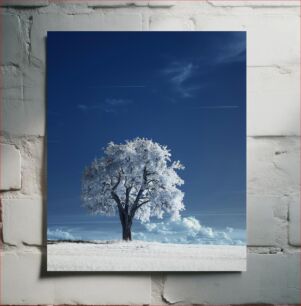 Πίνακας, Solitary Winter Tree Μοναχικό χειμωνιάτικο δέντρο