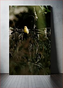 Πίνακας, Solitary Yellow Bird Μοναχικό κίτρινο πουλί