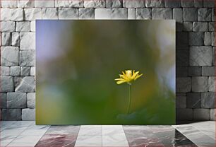 Πίνακας, Solitary Yellow Flower Μοναχικό κίτρινο λουλούδι