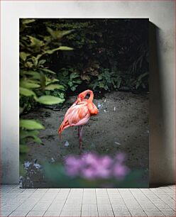 Πίνακας, Solitude of a Flamingo Η μοναξιά ενός φλαμίνγκο